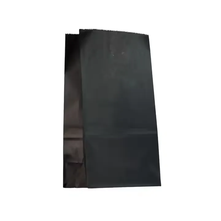 Versatile Kraft Paper Bag – Custom Logo & Sizes Available